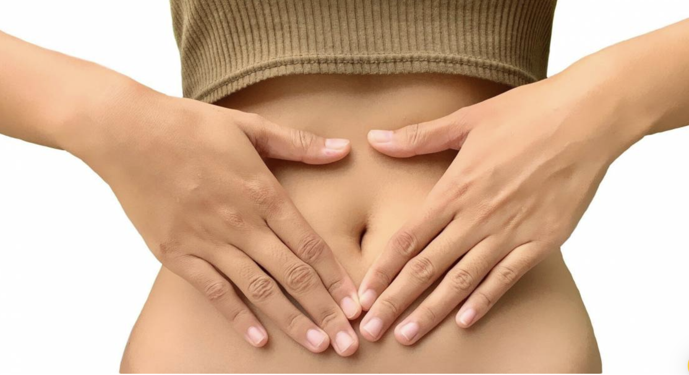 bacterias lácticas probióticas en el queso y los humanos