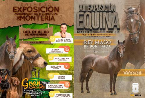 Ganadería, ganadería colombia, Ganadería colombiana, CONtexto ganadero, noticias ganaderas, noticias ganaderas colombia, córdoba, ganaderos córdoba, feria equina cordoba, feria equina monteria, feria agroindustrial equina garado b monteria, ganaderos, ganaderos colombia