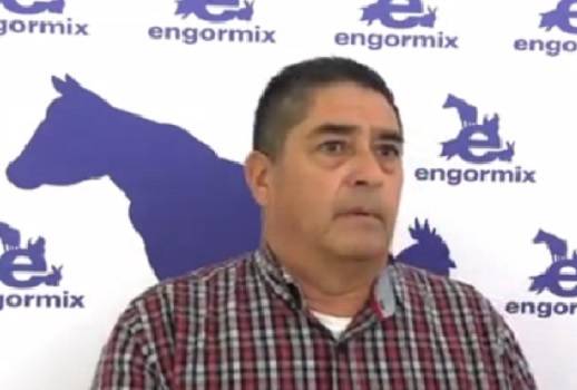 Fuente: Sustratos Gluconeogénicos ¿Cómo funcionan? Fernando Livas Calderón. UNAM - Universidad Nacional Autónoma de México 