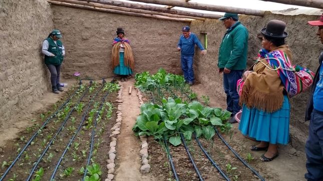 Ganadería, ganadería colombia, noticias ganaderas, noticias ganaderas colombia, CONtexto ganadero, Perú, heladas perú, AGRO RURAL, agro rural perú, fitotoldos, fitotoldos perú, medidas contra las heladas, amazonas, Áncash, Apurímac, Arequipa, Ayacucho, Cajamarca, Cusco, Huancavelica, Huánuco, Junín, La Libertad, Lambayeque, Moquegua, Pasco, Piura, Puno, Tacna