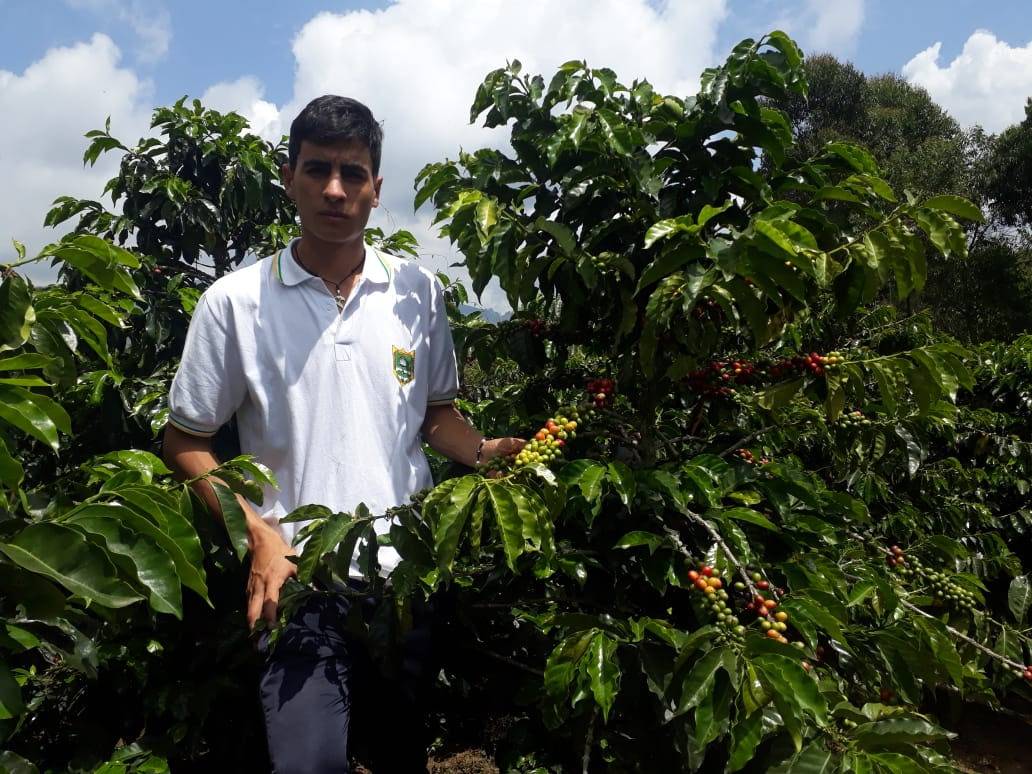 Ganadería, ganadería colombia, noticias ganaderas, noticias ganaderas colombia, CONtexto ganadero, Universidad en el Campo, Caldas, Alcaldía de Manizales, Gobernación de Caldas, Bancolombia, Comité de Cafeteros, secretario de Gobierno de Caldas, Carlos Alberto Piedrahita, universidad del campo caldas,