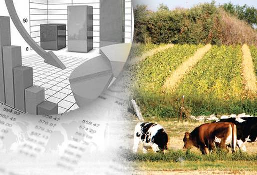 sistema de información de precios, sistema de información de precios colombia, sistema de información de precios fedegán, sistema de información de precios ganadería, CONtexto ganadero