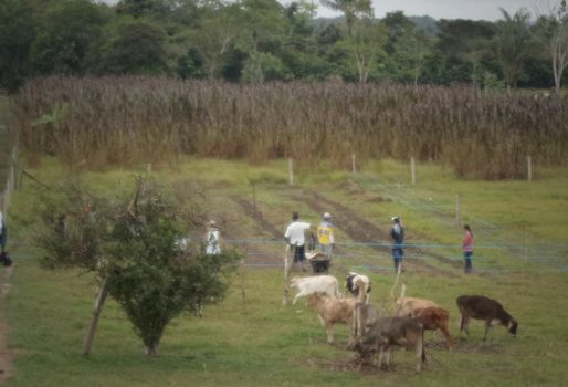 Fundagán representa a más de 9.000 víctimas ganaderas de todo el país. Foto: Rancho Chapopote. Víctimas ganaderas