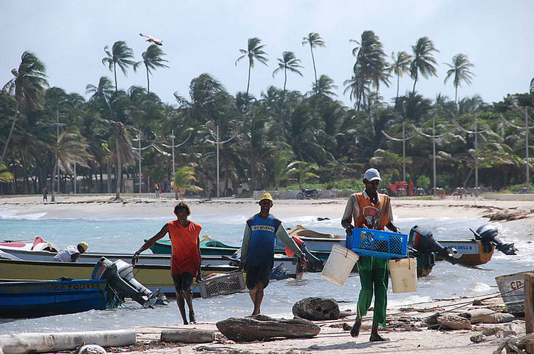 software para la pesca colombia
