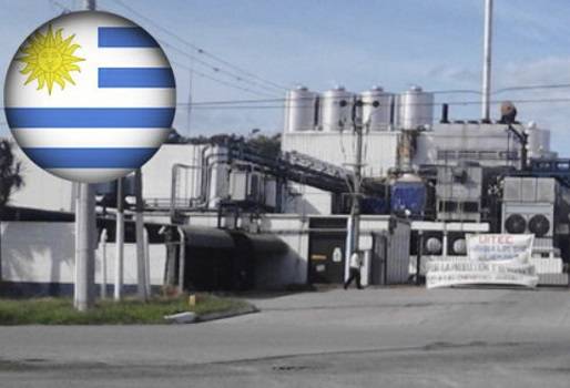 Grupo Gloria, propietario de la empresa Ecolat, abrir las puertas de su planta, CONtexto ganadero, noticias de ganadería bovina.