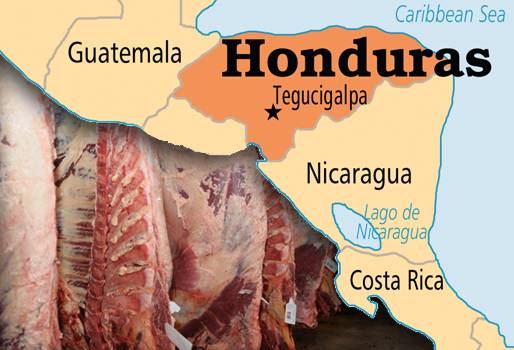 honduras exportaciones carne