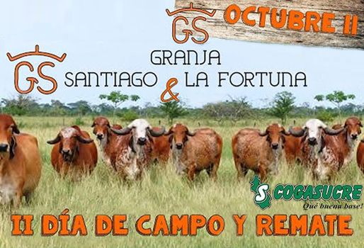 El evento se realizará el próximo 11 de octubre. Foto: Cogasucre. Remate Cogasucre.