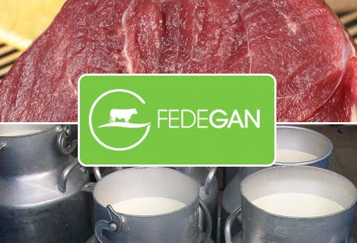 FNG, Fondo Nacional del Ganado, licitación fondo nacional del ganado, recursos parafiscales, parafiscalidad ganadera, Ministerio de Agricultura, Ministro de Agricultura, iragorri, Aurelio Iragorri, CONtexto ganadero, fedegan, ganadería colombia