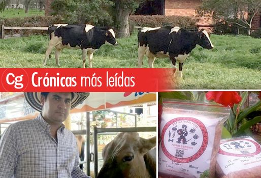 Tómese 5 minutos de su tiempo para darle una lectura a las crónicas más leídas. Foto: CONtexto ganadero. crónicas ganadería, crónicas ganadería colombia, crónicas ganadería 2016, crónicas ganadería fedegán