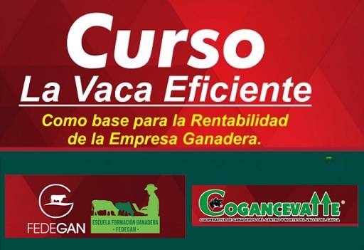 Fedegán, Cogancevalle, curso la Vaca Eficiente, Cartago Valle, romper mitos, llevar registros, estudio de caso, Ganadería, ganadería colombiana, noticias ganaderas, noticias ganaderas Colombia, CONtexto ganadero