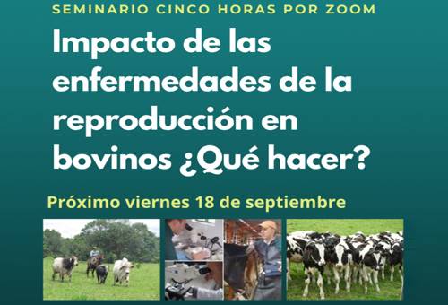 Enfermedades reproductivas ganado 2020, periódico El agro, éxito en ganadería, eventos periódico El Agro, eventos Escuela del Agro, Escuela del Agro Colombia, enfermedades reproductivas vacas, enfermedades reproductivas ganado, preñez bovina, enfermedades, ganado bovino, ganadería bovina, coronavirus, coronavirus Colombia, COVID-19, cuarentena, Ganadería, ganadería colombia, noticias ganaderas, noticias ganaderas colombia, CONtexto ganadero