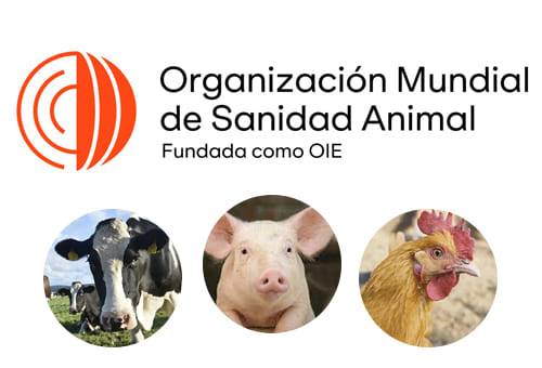 Organización Mundial de Sanidad Animal (OIE) 