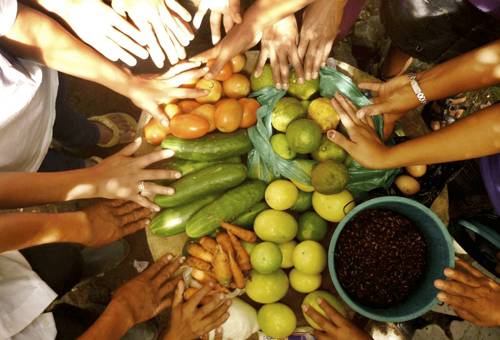 Alimentos