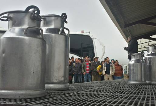 Cooperativa de Lecheros de Guatavita, Colega, Guatavita, Cundinamarca, asociatividad, ejemplo de cooperativismo, asociación de ganaderos, producción de leche de Guatavita, economía solidaria, Buenas Prácticas Ganaderas, Fenómeno de El Niño, BPG, Iniciativa Coleguitas, Mi primera ternerita, CONtexto ganadero, ganaderos Colombia