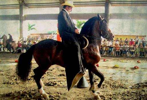 Exposición Nacional Equina 2015 