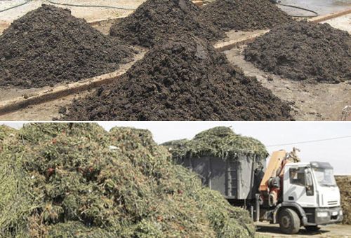 residuos, fincas, agricultura, pecuario, Unidad de Producción Agropecuaria, aprovechamiento, DANE, Encuesta Nacional Agropecuaria, estiércol, energía eléctrica, consumo, Ganadería, ganadería colombia, noticias ganaderas colombia, CONtexto ganadero