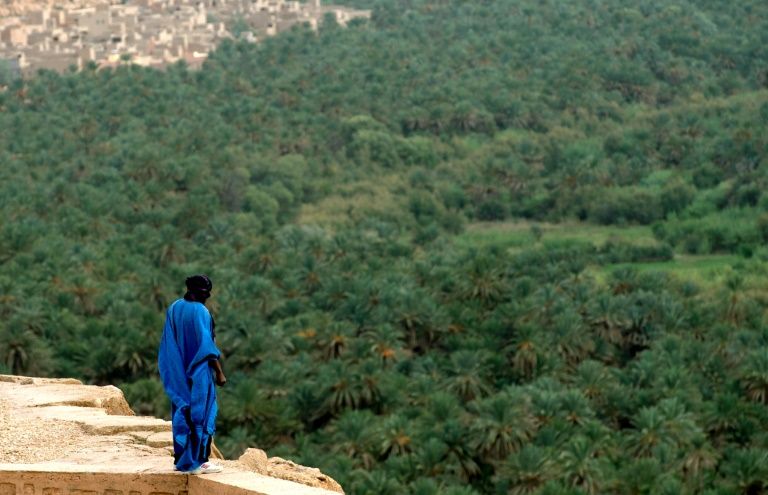 Un hombre mira el oasis de Tafilalet el 27 de octubre de 2016 cerca de Erfoud en el desierto de Marruecos. Foto: AFP. acuerdo sobre el clima de París