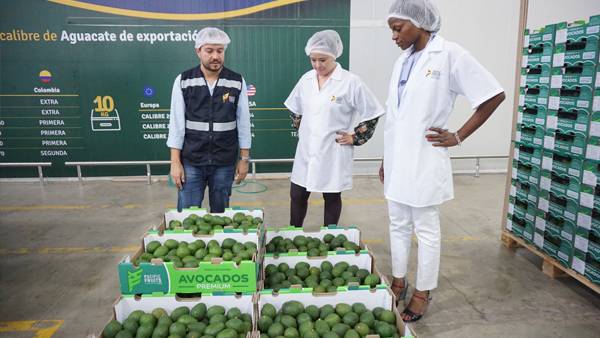Ganadería, ganadería colombia, noticias ganaderas, noticias ganaderas colombia, CONtexto ganadero, agro, agro valle del cauca, proyectos agrícolas valle del cauca, asociatividad, 930 mil millones, campo del valle
