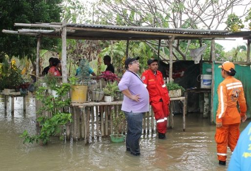 El 30% del ganado que se encuentra en este municipio se han visto afectado por el desbordamiento del río. Foto: Gobernación de Arauca. Inundación Arauquita.