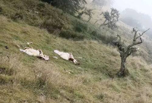 finca de ganadero que lo perdió todo