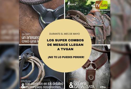 Sillas TVGAN, Promoción TVGAN mayo 2020, silla pantanera Mesace TVGAN febrero 2019, silla pantanera Mesace, silla pantanera Mesace electromecánica, tvgan promociones, equipos ganaderos promociones, sillas para ganadería, promoción TVGAN sillas mayo 2020, coronavirus Colombia, coronavirus, COVID-19, cuarentena, Ganadería, ganadería colombia, noticias ganaderas, noticias ganaderas colombia, CONtexto ganadero