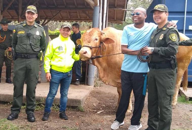 Ganadería, ganadería colombia, noticias ganaderas, noticias ganaderas colombia, CONtexto ganadero, faustino asprilla, lagrimón, robo a faustino asprilla, abigeato, abigeato tino asprilla, toro faustino asprilla, 