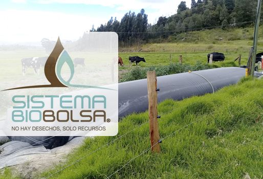 Sistema Bio Colombia, biodigestores en Colombia, Sistema Biobolsa, biodigestores Sistema Biobolsa, oferta biodigestores Colombia, soluciones para estiércol de vacas, cómo aprovechar el estiércol de la vaca, ventajas biodigestores, beneficios biodigestores, beneficios económicos biodigestores, biodigestores en ganaderías, CONtexto ganadero, ganaderos Colombia, noticias ganaderas Colombia
