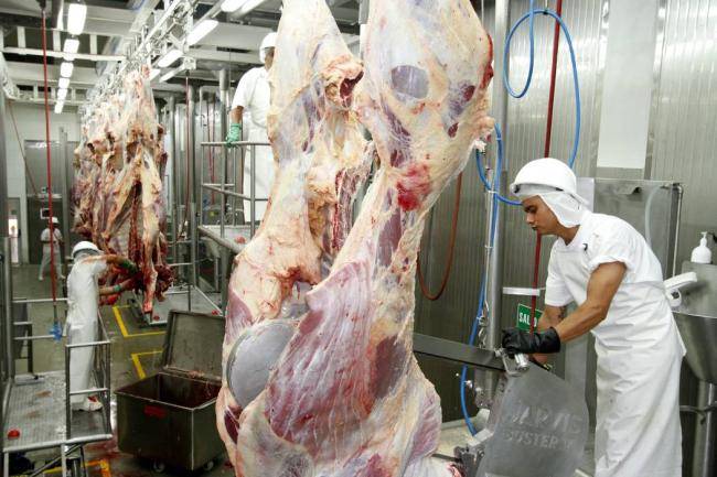 Coolesar, coolesar cesar, cooperativa lechera del cesar, Ganaderos del Cesar, Colanta, quiebra coolesar, fedegan, Óscar Daza Laverde, coolesar y colanta, ganadería colombia, noticias ganaderas colombia, CONtexto ganadero