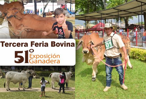 Los organizadores esperan superar la asistencia del año pasado, cuando se registraron 8.500 visitantes. Foto: Cortesía Feria ganadera Ibagué 2018, 51 Exposición Ibagué, Eventos ganaderos agosto 2018, ferias ganaderas de 2018, Ferias ganaderas Colombia agosto 2018, ferias ganaderas agosto 2018, ferias, Ferias Ganaderas, ferias Colombia, Eventos ganaderos, eventos ganaderos colombia, feria ganadera agosto 2018, CONtexto ganadero, ganaderos colombia, ganadería colombia, noticias ganaderas colombia