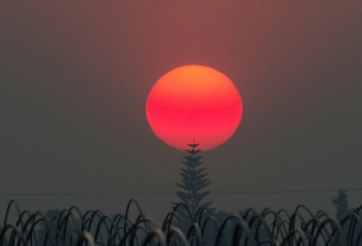Calentamiento global, calentamiento global concecuencias al 2040, La Tierra habrá ganado 1,5ºC en 2040 si no se actúa con urgencia, CONtexto ganadero, ganadería Colombia, Noticias ganaderas Colombia