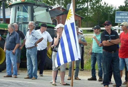 Agricultores Uruguay, agricultores uruguayos protestan, altos costos de producción en Uruguay, energia, combustibles e impuesto altos, Frente Amplio (izquierda), CONtexto ganadero, ganadería Colombia, Noticias ganaderas Colombia