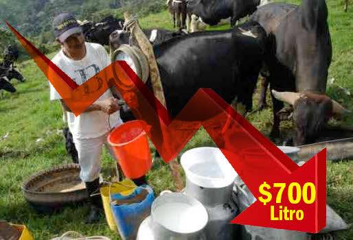 Precios de leche, la Victoria-Caldas, sin competencia, abundancia de leche, precios a la baja, precios estables,  precios más bajos que costos, CONtexto Ganadero, noticias de ganadería colombiana.