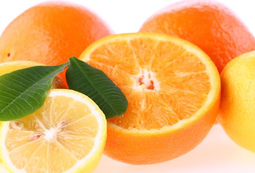 A la par del festival, se llevará a cabo la versión 17 de la feria ganadera y el primer festival equino. Foto: CONtexto ganadero. Festival de la naranja