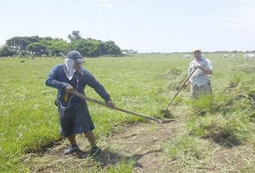 Ganadería, ganadería colombia, noticias ganaderas, noticias ganaderas colombia, CONtexto ganadero, personal, manejo del personal, manejo del personal en las fincas, Buenas Prácticas Ganaderas, buenas practicas ganaderas en finca, buenas practicas ganaderas en el personal, ganadería de leche