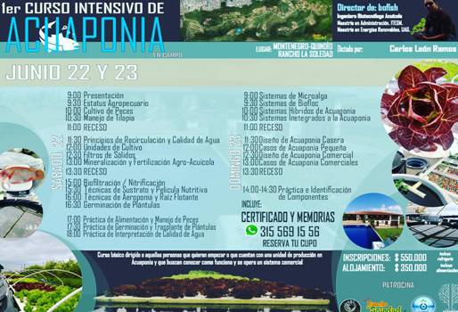 Acuaponía, hidroponía, aeroponía, sistema de producción sostenible de plantas y peces, acuicultura tradicional de cría, animales acuáticos, cultivo de plantas, medio ambiente interactivo, circulación de agua, agricultura de vanguardia, triplica la producción, trazabilidad, producto final, Bofish, CONtexto ganadero, ganaderos Colombia, noticias ganaderas Colombia