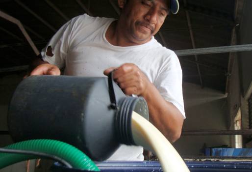 salvaguardias colombia leche