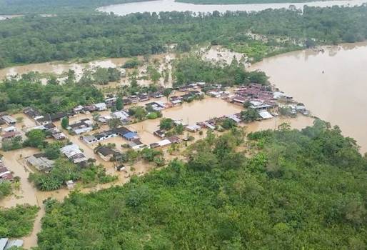 lluvias en el Bajo Putumayo, invierno en el Bajo Putumayo, ganaderos del Bajo Putumayo, daños en los pastos en el Bajo Putumayo, ganadería colombia, invierno Colombia, invierno 2017, CONtexto ganadero