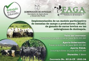 El 7 de diciembre se lleva a cabo la escuela de campo a productores ganaderos en Antioquia. Afiche Faga, ECA's