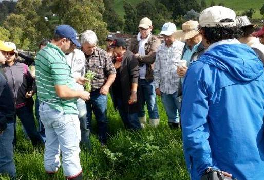  Pequeños ganaderos de Boyacá, ganaderos de Boyacá, falta de apoyo gubernamental, falta de ayuda al campo, conpes lechero de Boyacá, falta de continuidad de proyectos, CONtexto ganadero