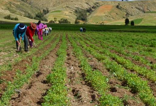 colombia despensa alimentos, colombia despensa alimentos noticias, cifras colombia despensa alimentos, colombia despensa alimentos eventos, contexto ganadero