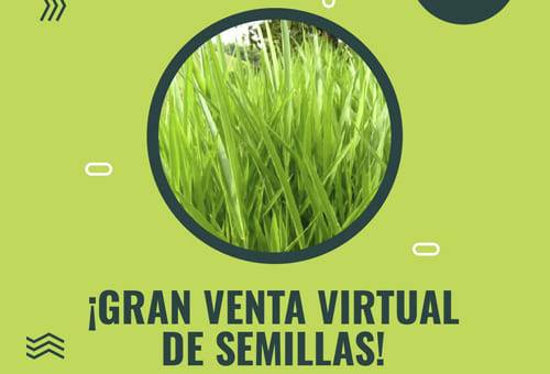 Almagán, Sáenz Fety, semillas, venta virtual, Siembra, pastos, Forrajes, alimento, temporada seca, descuento, precios, catálogo, whatsapp, asesoría, Buenas Prácticas, brachiarias, híbrido Sabiá, DECUMBENS, Brizantha Maraundu, piatá, Xaraes, Toledo, HUMIDICOLA, Dictyoneura, llanero, Panicum, Megathyrsus, Mombaza, capacitaciones, charlas virtuales, Ganadería, ganadería colombia, noticias ganaderas colombia, CONtexto ganadero