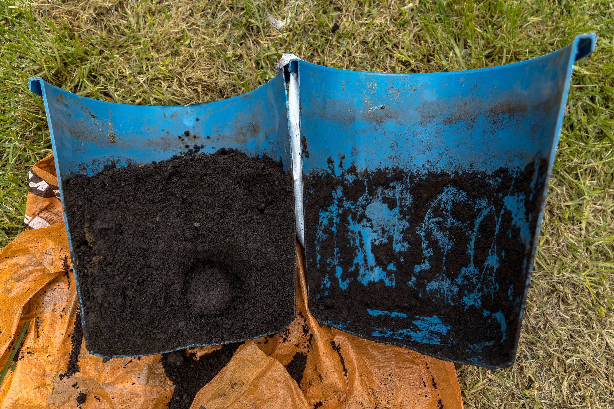 Ganadería, ganadería colombia, noticias ganaderas, noticias ganaderas colombia, CONtexto ganadero, escarabajos de caca, clases de escarabajos, escarabajos importancia ecológica, escarabajos del suelo, escarabajos en el jardín, escarabajos en la huerta, escarabajos tipos, escarabajos de puerto rico, escarabajos de alfombra, escarabajos egipcios, escarabajos pequeños en casa, escarabajos verdes, escarabajos venenosos, escarabajos mas grandes del mundo, escarabajos peloteros, escarabajos chinos, tipos de escar