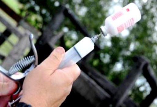 Científicos diseñaron una técnica para producir la vacuna contra fiebre aftosa sin usar el virus virulento, sino retirando una secuencia específica de ADN del virus. Foto: CONtexto Ganadero. Nueva técnica para vacuna antiaftosa más segura