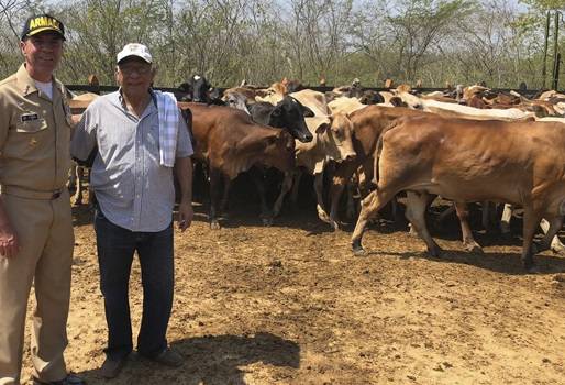 Repoblamiento bovino de Gobernación de Bolívar, entrega de vacas preñadas. Entrega de reses a seis municipios de Bolívar, capacitación en emprendimiento, capacitación en sistemas silvopastoriles, familias campesinas, CONtexto ganadero, noticias de ganadería colombiana.