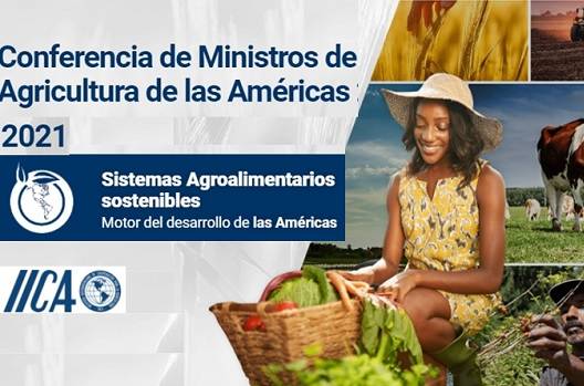 IICA, Cumbre de Sistemas Alimentarios de la ONU, Agenda clave en reunión de ministros en el IICA, amenazas al comercio agropecuario, aparición de nuevas plagas y enfermedades, vacas, vacas Colombia, lechería, bovinos, ganadería bovina, ganadería bovina Colombia, noticias ganaderas, noticias ganaderas Colombia, contextoganadero