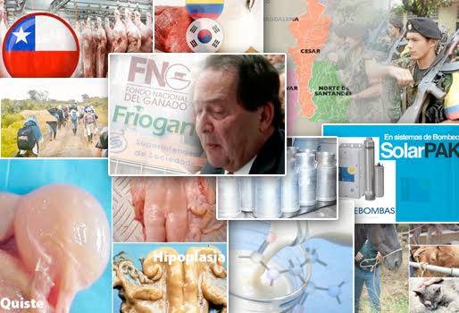 noticias ganadería colombia, noticias ganadería colombia lafaurie, noticias ganadería colombia fedegán, noticias ganadería colombia federación ganaderos, CONtexto ganadero