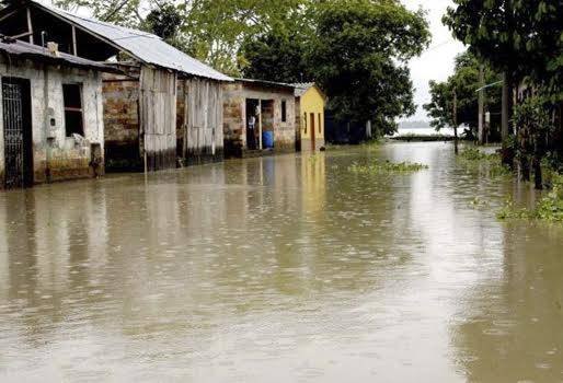 Inundaciones en Departamento del Guaviare, praderas bajo el agua, praderas deterioradas, ganado flaco y desmejorado, mercado inmóvil, no para de llover, CONtexto Ganadero, noticias de ganadería colombiana. 
