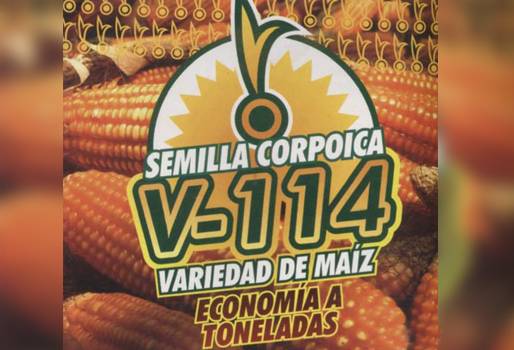 variedades de maíz corpoica