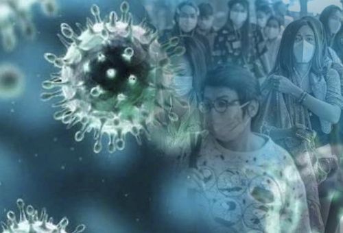 Ganadería, ganadería colombia, noticias ganaderas, noticias ganaderas colombia, CONtexto ganadero, COVID-19, positivo covid-19, recuperación paciente covid-19, contagiado por segunda vez covid-19, inmunologóa covid-19, inmunidad covid-19, celulas muertas covid-19, sistema respiratorio paciente covid-19, ganaderos, ganaderos colombia