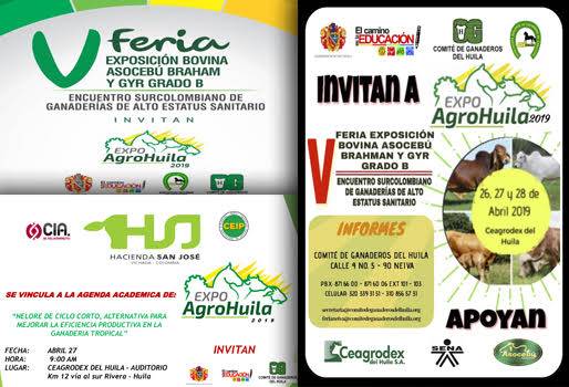 exposición, agropecuaria, bovino, sector pecuario, agrícola, Huila, Neiva